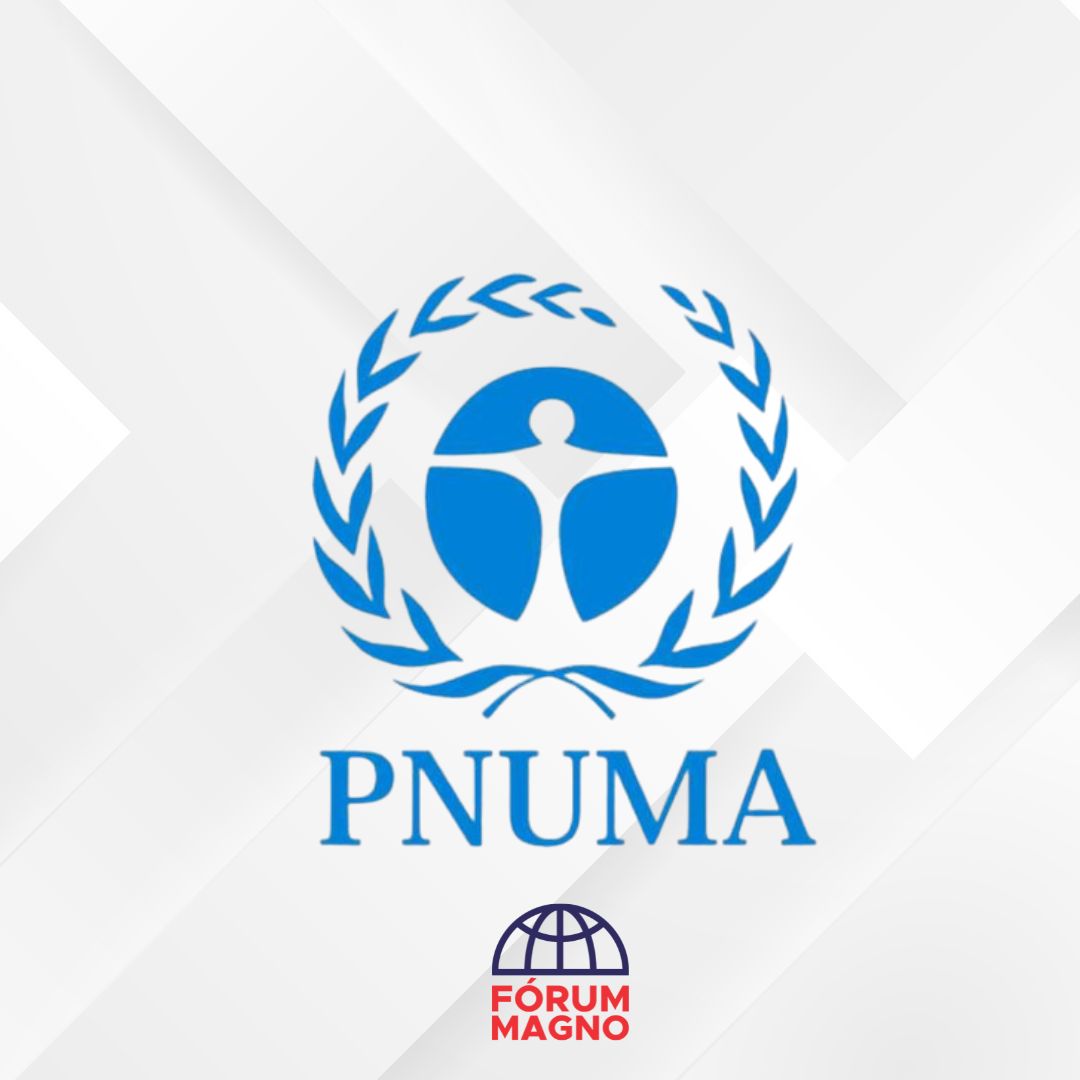 PNUMA - Programa das Nações Unidas para o Meio Ambiente